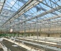 四平阳光板蔬菜温室大棚规划建造