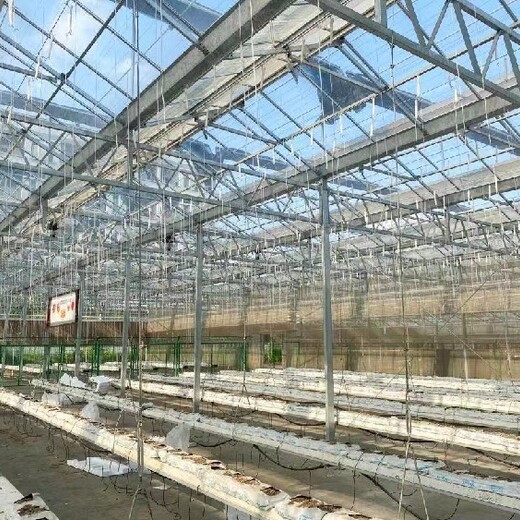 济南阳光板蔬菜温室大棚规划建造