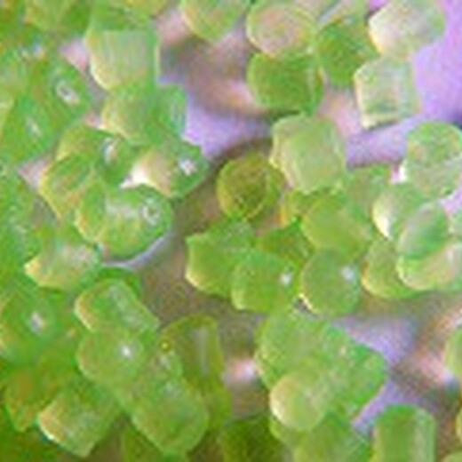 河南环保TPR塑料颗粒价格热塑性橡胶