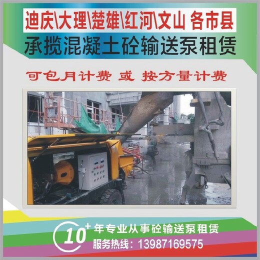 三一车载泵,云南普洱江城建筑工地桥梁混凝土砼输送泵地泵包月出租租赁