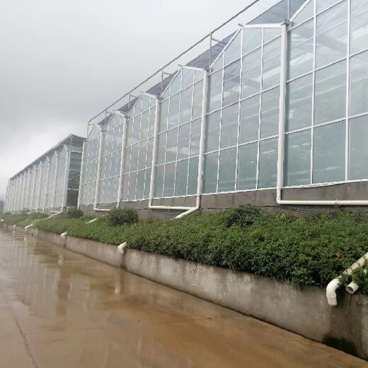 一道农业钢结构温室大棚实体工厂