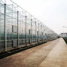 一道農業玻璃智能大棚骨架加工圖片