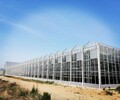 新疆温室大棚工程建设
