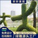 东城市政绿雕设计仿真植物工艺品