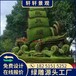 新浦卡通人物绿雕工艺植物雕塑制作过程