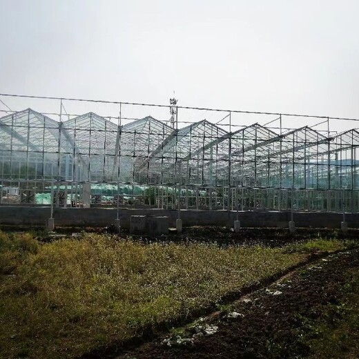 梧州花卉温室大棚工厂2023报价骨架加工价格厂
