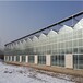 铜川花卉钢结构温室大棚实体工厂