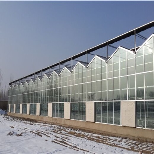 潍坊花卉钢结构温室大棚建造厂家