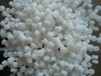 天津热塑性弹性体TPEE塑料颗粒价格,TPEE塑料原料