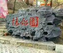 高安市假山水泥塑石本地热线图片