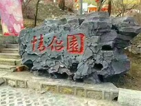 图片0