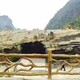 新縣手工水泥仿木欄桿圖
