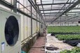 克拉玛依花卉温室大棚取暖联系方式
