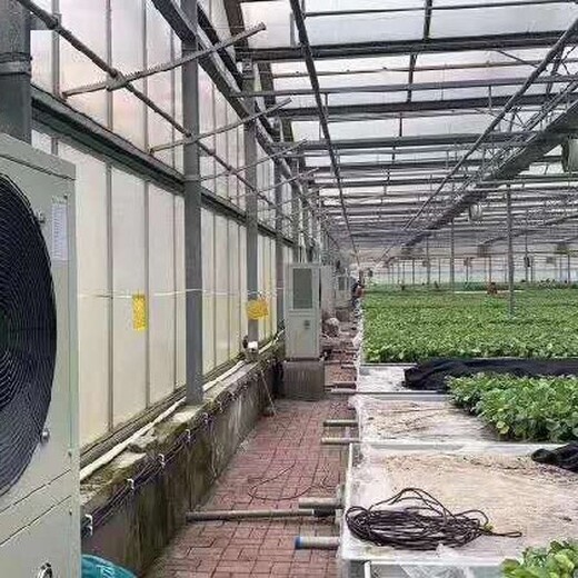 通化花卉温室大棚取暖实体工厂