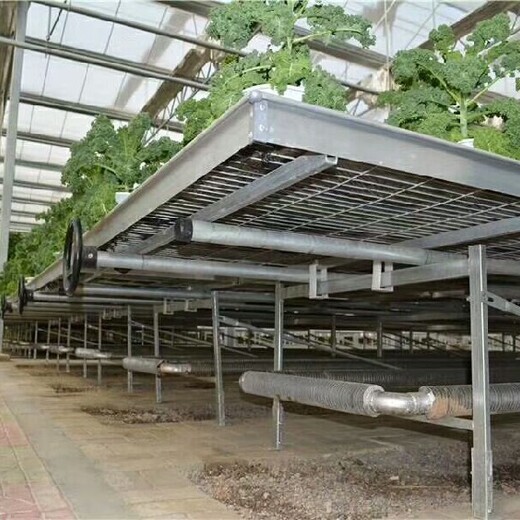 黑河蔬菜温室大棚取暖实体工厂