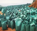上海生态袋子厂家批发图片