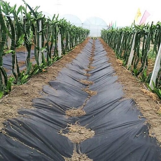 江西生态农用防草布厂家联系方式杂草抑制席