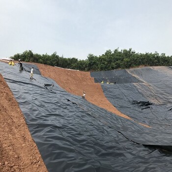 防渗土工膜,宁夏水库用防渗膜厂家供应