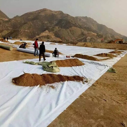 西藏生态土工布生产厂家