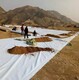 隔離型土工布及加筋長絲型土工布圖