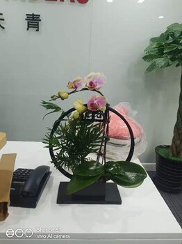 北京经济开发区庆典鲜花出租价格表,花卉销售