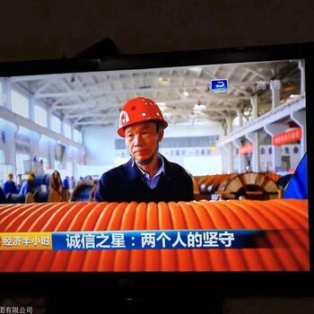 江蘇上上電纜ASHYEJ三代核電無(wú)鹵低煙阻燃儀表電纜
