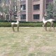 園林雕塑圖