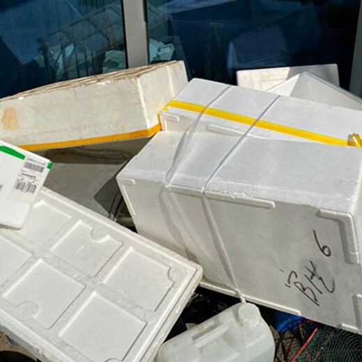 香港回收废塑料厂家