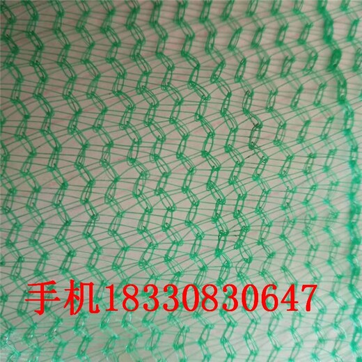 威海密目防塵網廠家現貨