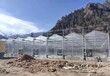 养殖西藏温室大棚联系方式