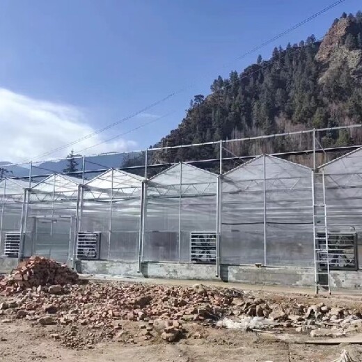 新型西藏温室大棚实体工厂