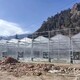 玻璃西藏温室大棚图