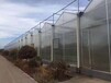 神农架建造阳光板温室大棚材料供应