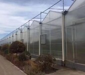 郴州农业阳光板温室大棚价格