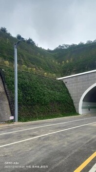 贵州正规高速公路绿化施工