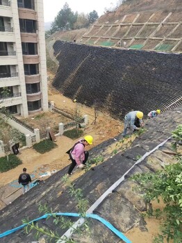 重庆从事园林绿化施工团队