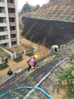湖南園林綠化廠家,園林綠化