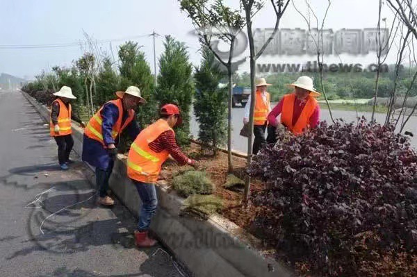 广西桥梁喷涂防腐施工边坡绿化,边坡绿化
