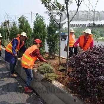 安徽高速公路绿化施工团队