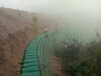 云南专业隧道涂料装饰施工联系电话,边坡绿化