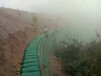 江蘇隧道涂料裝飾施工高速公路綠化,邊坡綠化