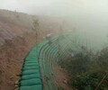 云南專業隧道涂料裝飾施工聯系電話,邊坡綠化