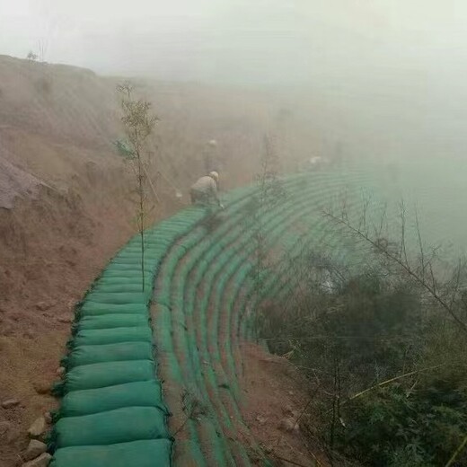 重庆边坡绿化