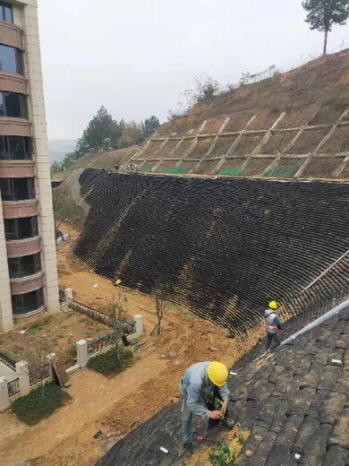 上海从事隧道涂料装饰施工联系电话,边坡绿化