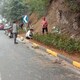高速公路綠化公司圖