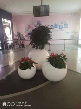 北京花卉绿植盆栽租赁北京花卉绿植租摆价格