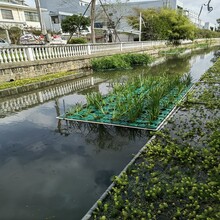 重慶深水種植施工人工生態(tài)浮島批發(fā)價格圖片
