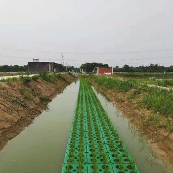 宿迁盆栽种苗人工浮岛厂家价格