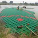 北京盆栽种苗人工浮岛种植公司