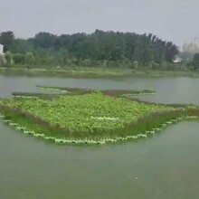 大慶凈化水質(zhì)人工生態(tài)浮島廠家電話圖片